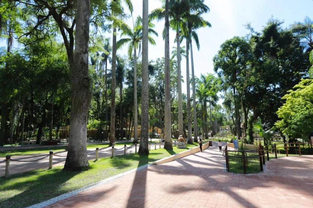 BioParque do Rio: natureza viva no coração da cidade